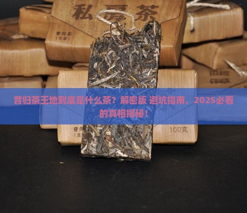 昔归茶王地是什么茶