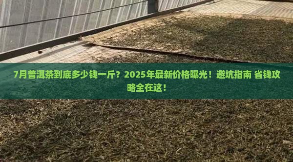 7月普洱茶多少一斤