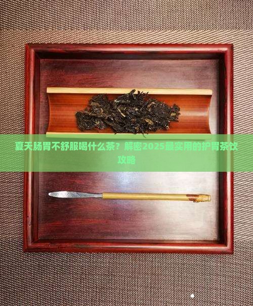 夏天肠胃不好喝什么茶
