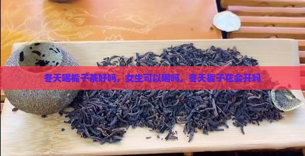 冬天喝栀子茶好吗