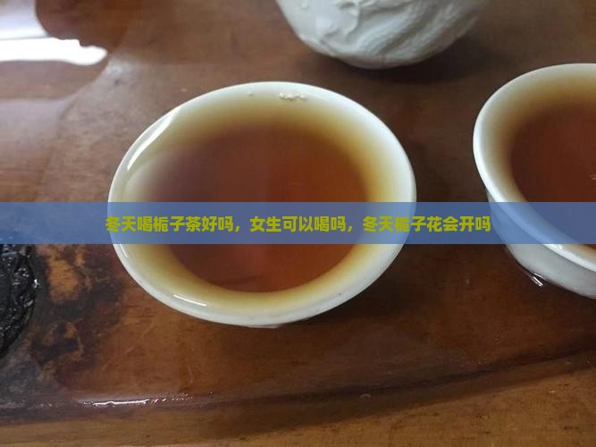 冬天喝栀子茶好吗