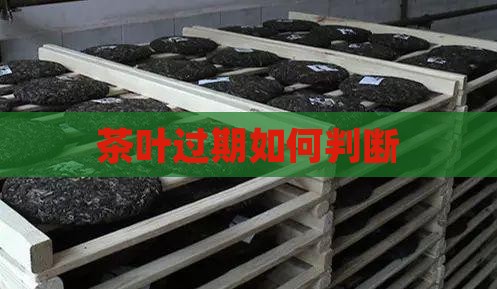 茶叶过期什么样子