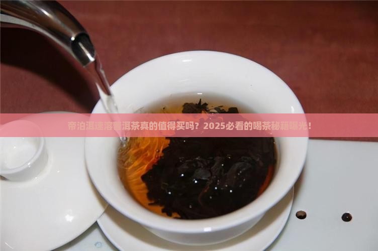 帝泊洱速溶普洱茶