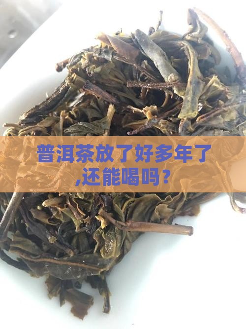 普洱茶放了好多年了