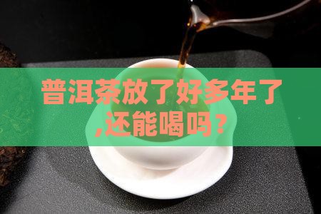普洱茶放了好多年了