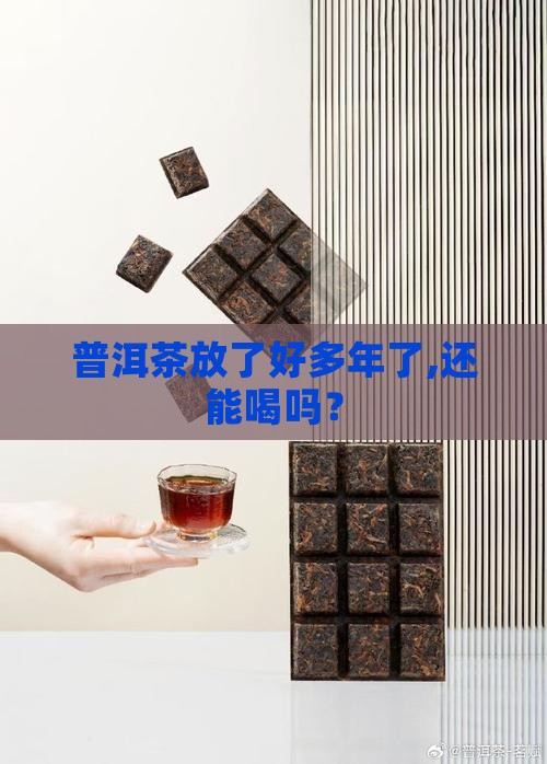 普洱茶放了好多年了