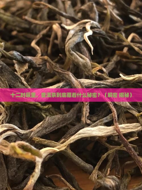 十二时辰普洱茶物语