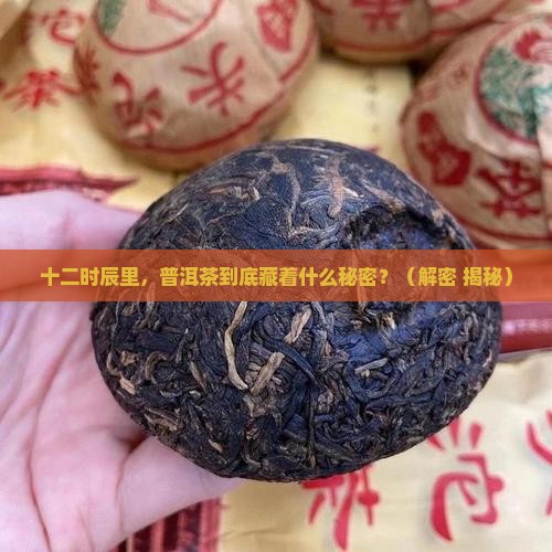 十二时辰普洱茶物语