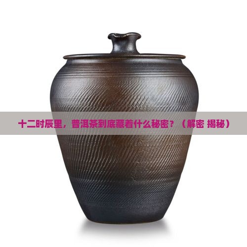 十二时辰普洱茶物语