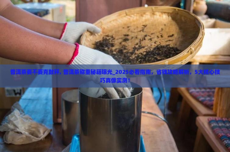 普洱茶要不要克数秤