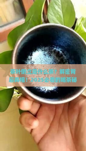 茶叶倒立是什么茶