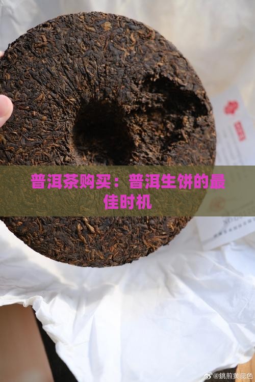 普洱茶生饼什么时候买好