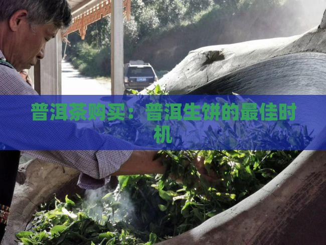 普洱茶生饼什么时候买好