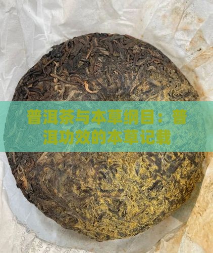 普洱茶与本草纲目