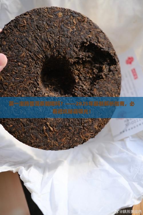 第一泡熟普洱茶能喝吗