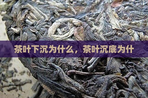 泡茶茶叶下沉为什么