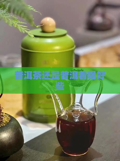 普洱茶泡水还是煮茶好些