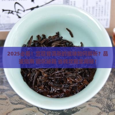 宫廷普洱茶的滋味