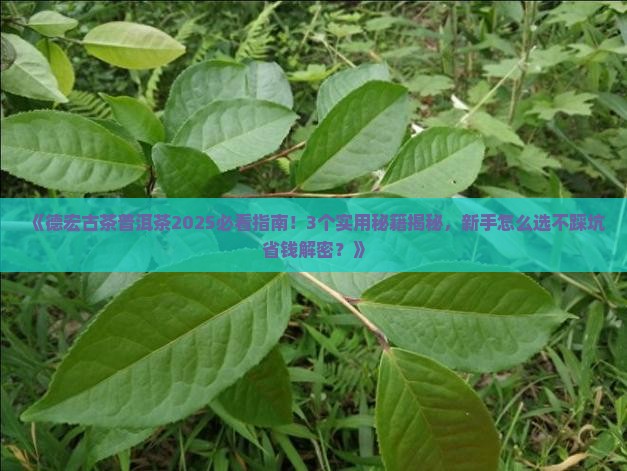 德宏古茶普洱茶