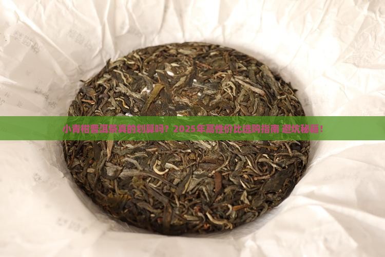 性价比高小青柑普洱茶