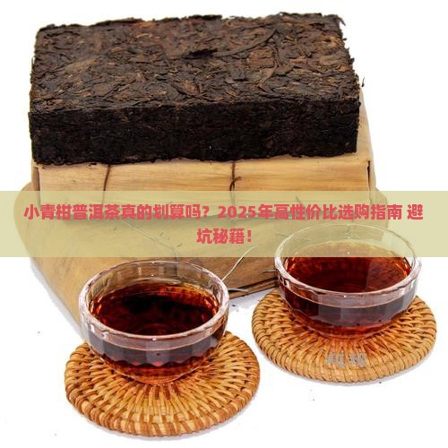 性价比高小青柑普洱茶