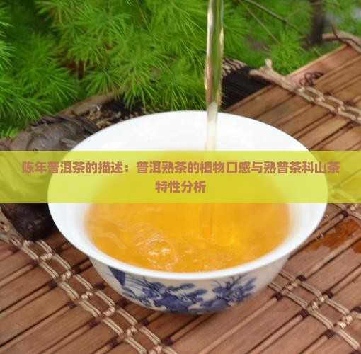 陈年熟普洱茶的描述