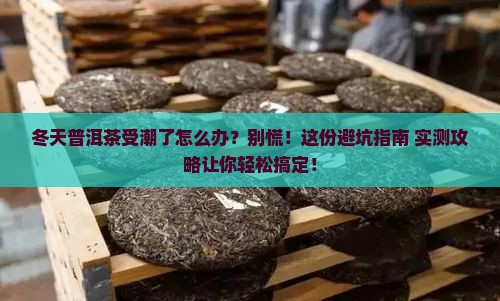 冬天普洱茶受潮怎么办