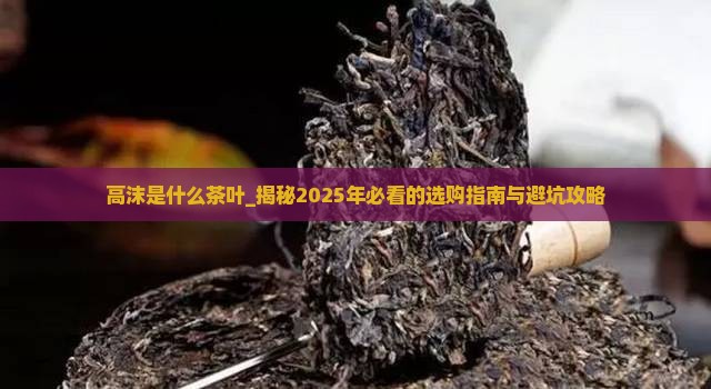高沫是什么茶叶
