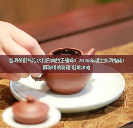 普洱茶配气泡水比例表