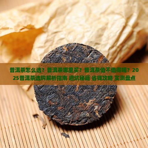 茶名大全普洱茶