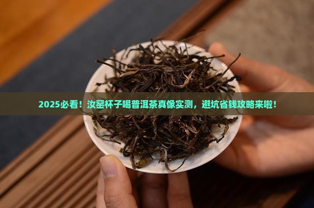 汝窑杯子能喝普洱茶吗