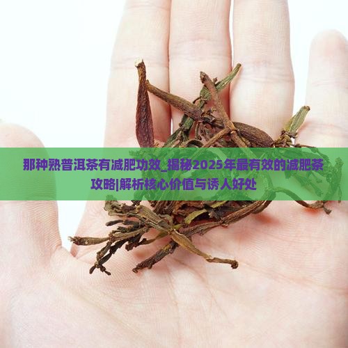 那种熟普洱茶有减肥功效