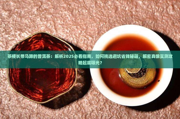 茶梗长带马蹄的普洱茶