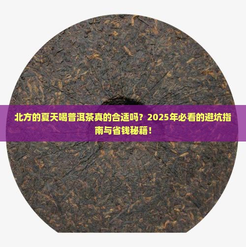 北方的夏天喝普洱茶