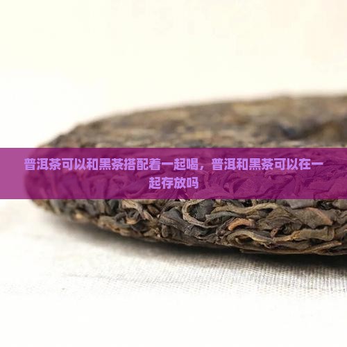 普洱茶可以和黑茶搭配着一起喝