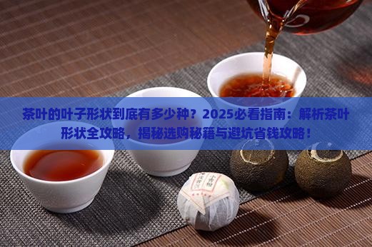茶叶的叶子有哪些形状
