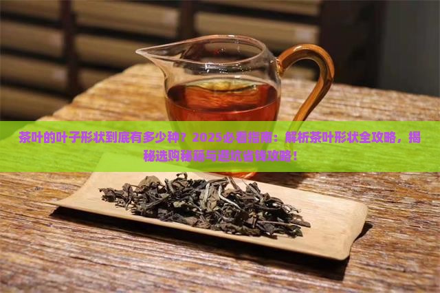 茶叶的叶子有哪些形状