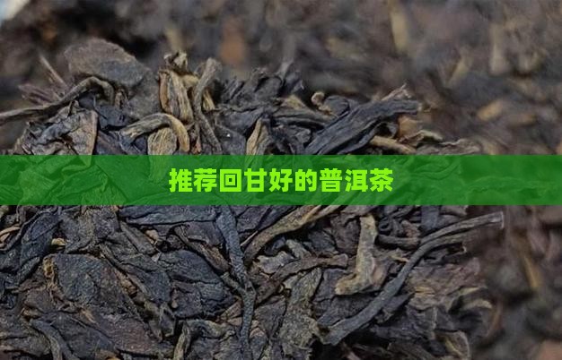 推荐回甘好的普洱茶