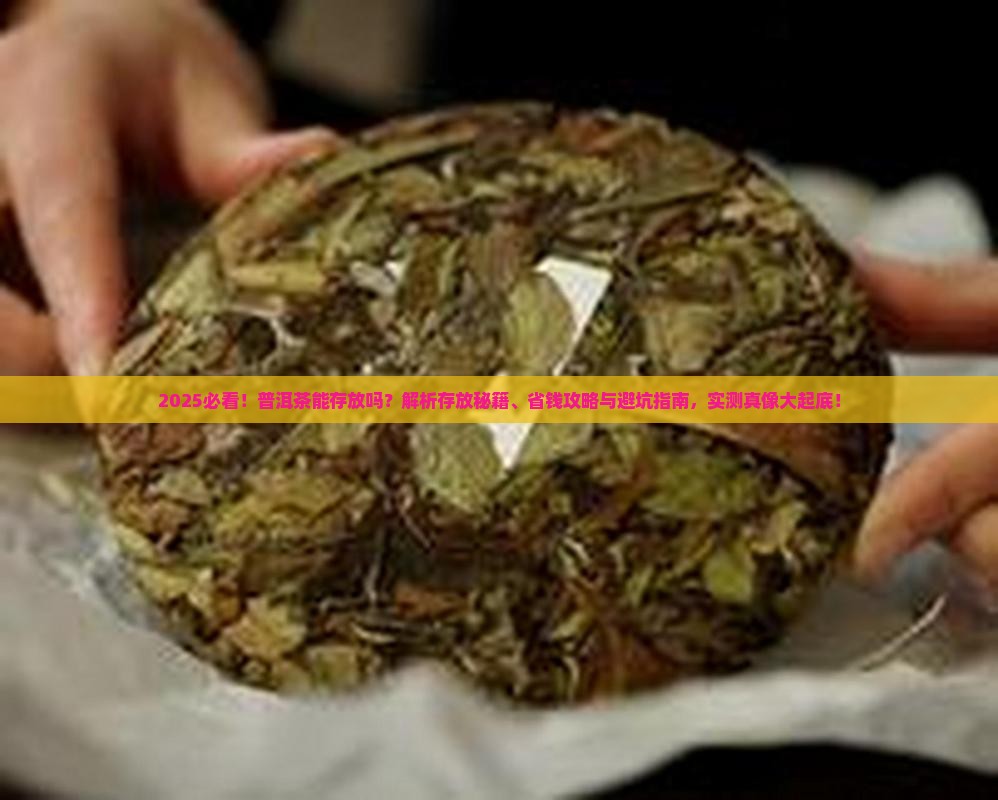 普洱茶能存放吗