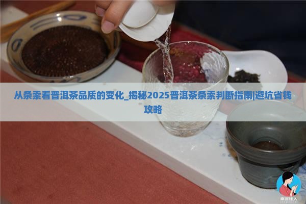 从条索看普洱茶品质的变化