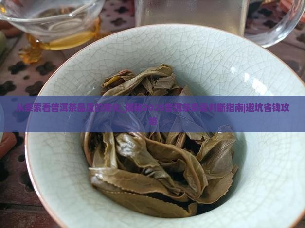 从条索看普洱茶品质的变化