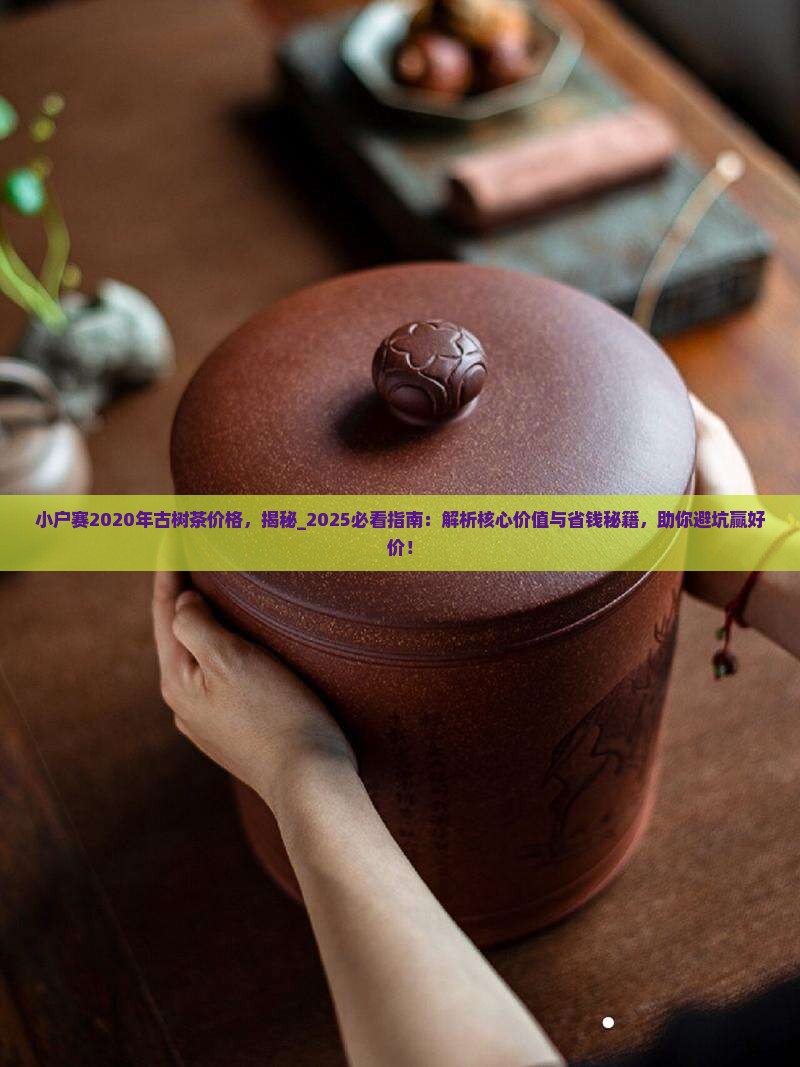 小户赛2020年古树茶价格