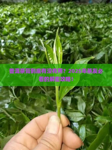 普洱茶的茶膏的功效