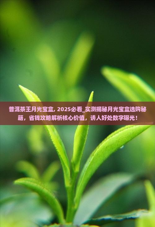 普洱茶王月光宝盒