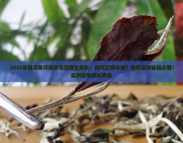 普洱茶评茶冲泡流程