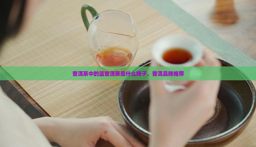 蓝普洱茶是什么牌子