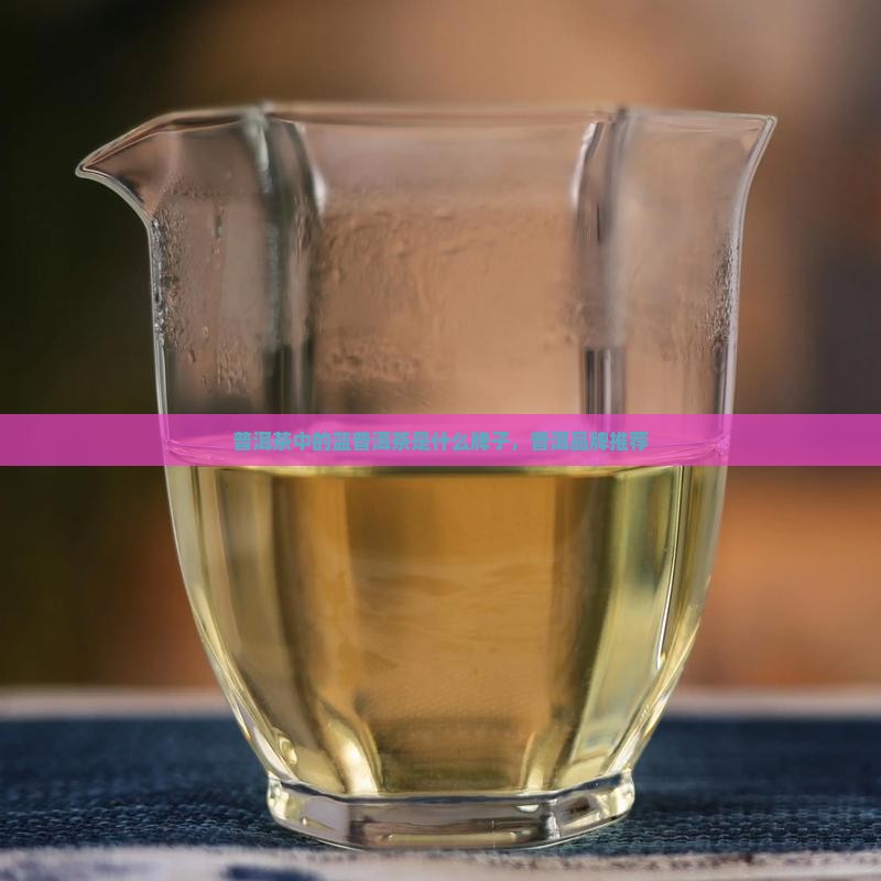 蓝普洱茶是什么牌子
