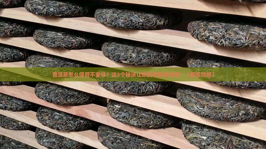 普洱茶怎么保管不变味