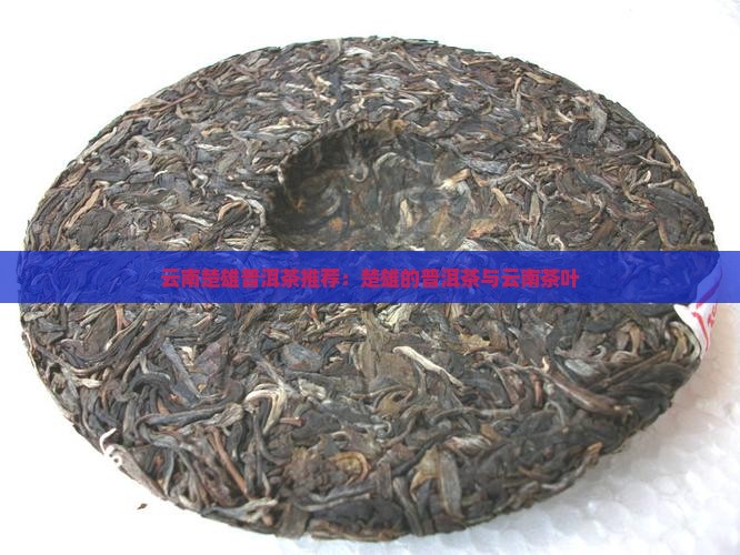 云南楚雄普洱茶推荐