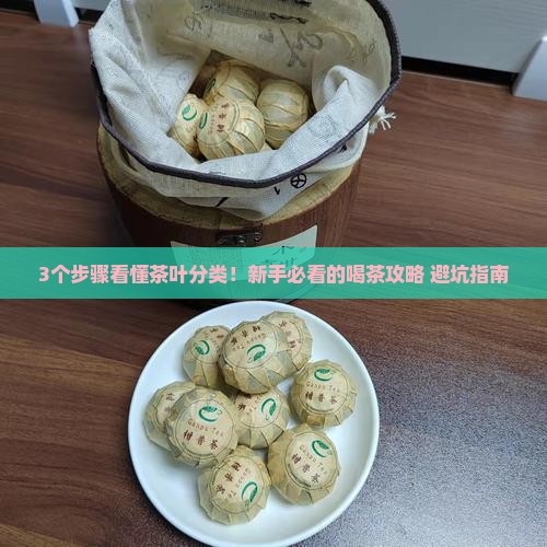 茶叶分为哪几本类别
